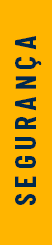SEGURANÇA